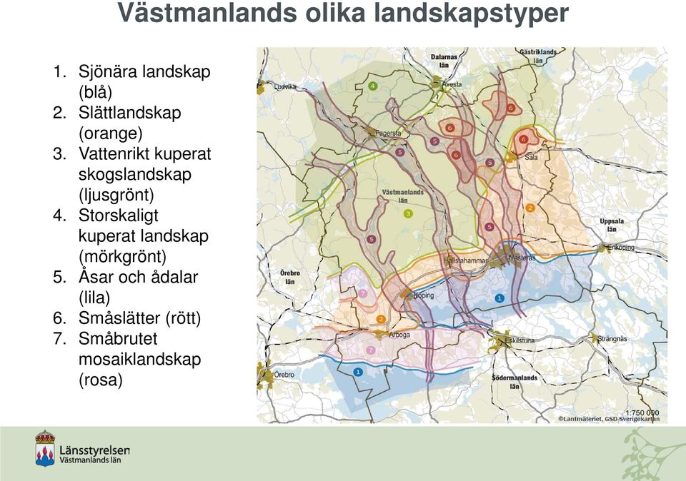 Vattenrikt kuperat skogslandskap (ljusgrönt) 4.