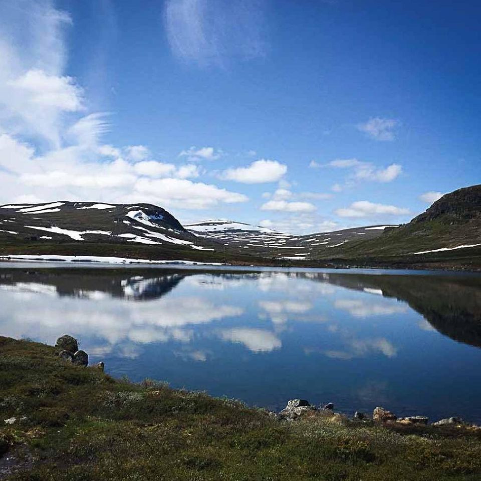 Häll sedan i rågsikten, blanda. Häll sedan i vetemjölet tills degen känns lagom fast, spara lite mjöl till utbaket. Låt jäsa 30 min.