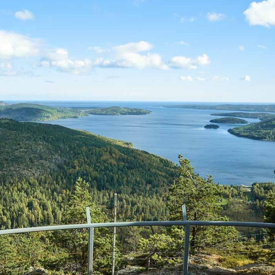 Häll sedan i rågsikten, blanda. Häll sedan i vetemjölet tills degen känns lagom fast, spara lite mjöl till utbaket. Låt jäsa 30 min.