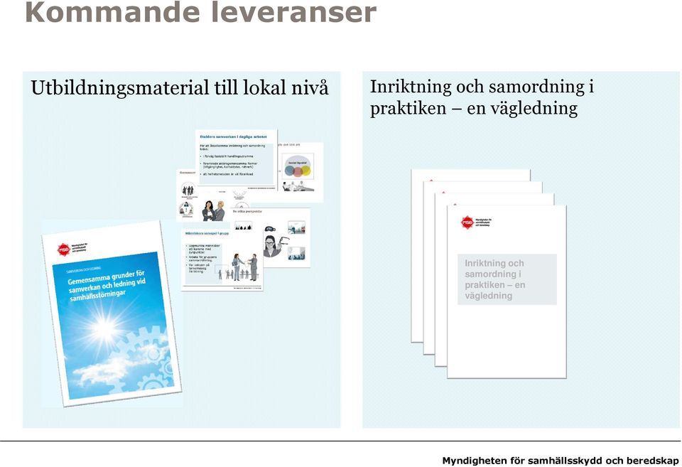 vägledning Inriktning och samordning i praktiken