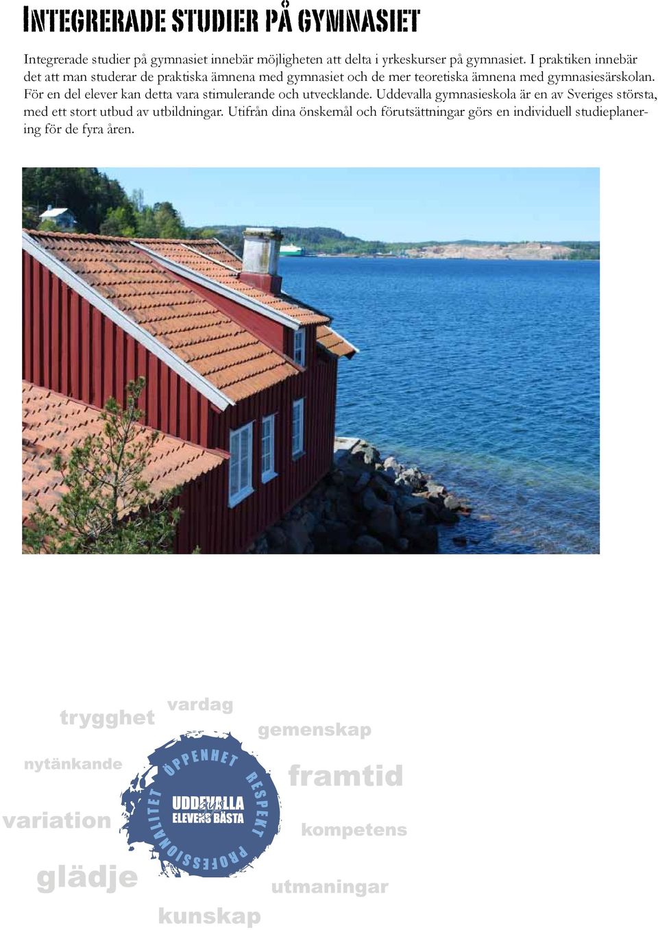 gymnasiesärskolan. För en del elever kan detta vara stimulerande och utvecklande.