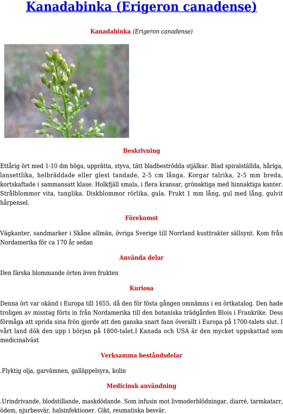 Holkfjäll smala, i flera kransar, grönaktiga med hinnaktiga kanter. Strålblommor vita, tunglika. Diskblommor rörlika, gula. Frukt 1 mm lång, gul med lång, gulvit hårpensel.