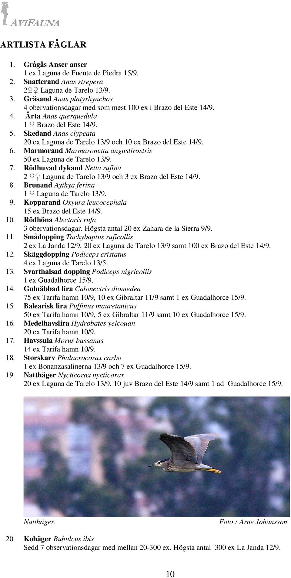 Skedand Anas clypeata 20 ex Laguna de Tarelo 13/9 och 10 ex Brazo del Este 14/9. 6. Marmorand Marmaronetta angustirostris 50 ex Laguna de Tarelo 13/9. 7.