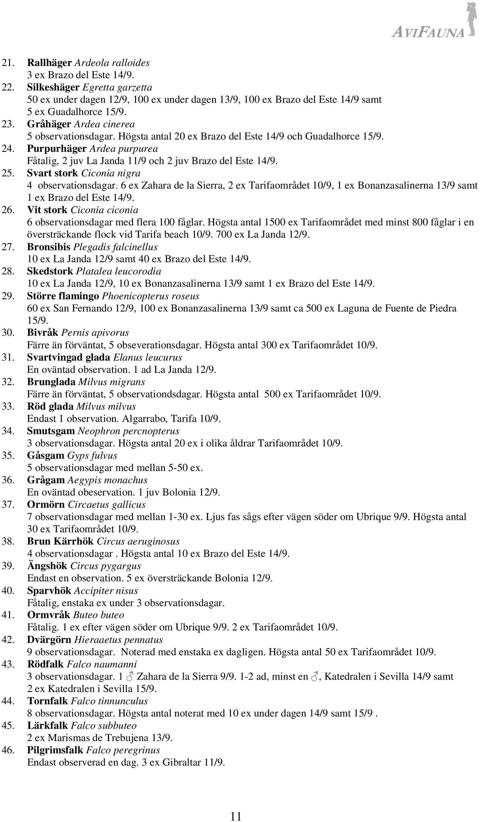 Svart stork Ciconia nigra 4 observationsdagar. 6 ex Zahara de la Sierra, 2 ex Tarifaområdet 10/9, 1 ex Bonanzasalinerna 13/9 samt 1 ex Brazo del Este 14/9. 26.