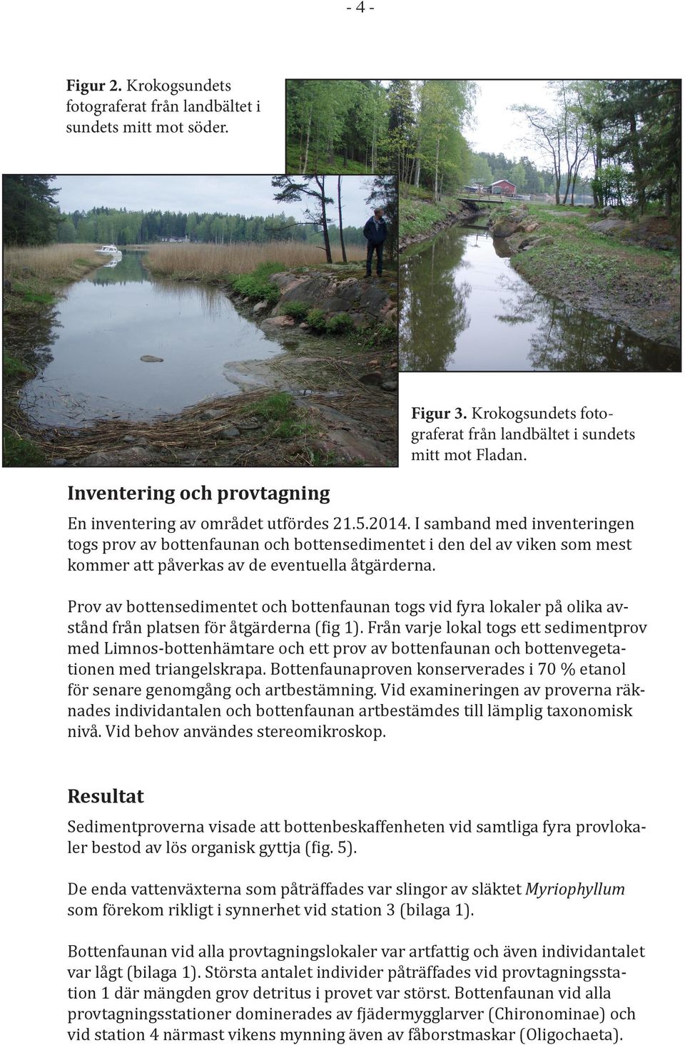 I samband med inventeringen togs prov av bottenfaunan och bottensedimentet i den del av viken som mest kommer att påverkas av de eventuella åtgärderna.