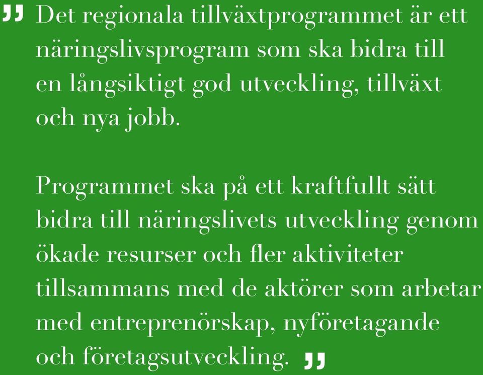 Programmet ska på ett kraftfullt sätt bidra till näringslivets utveckling genom ökade