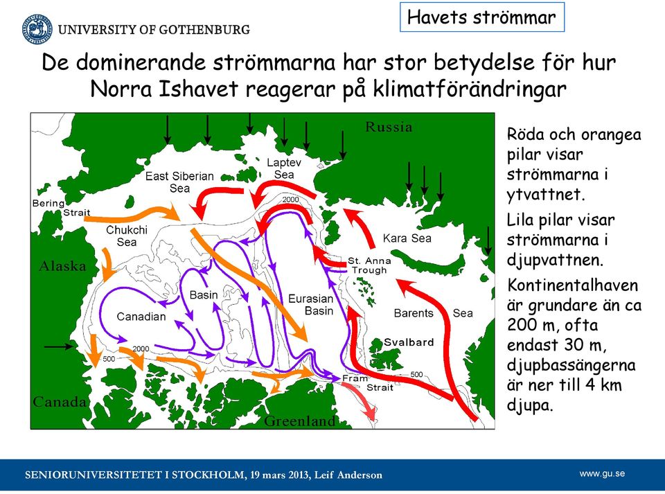 strömmarna i ytvattnet. Lila pilar visar strömmarna i djupvattnen.