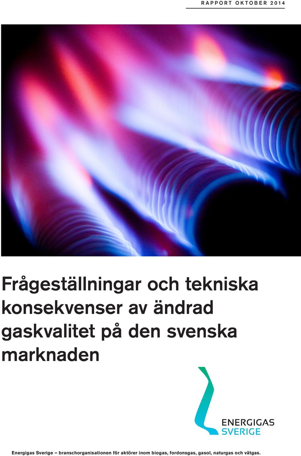 svenska marknaden Energigas Sverige branschorganisationen