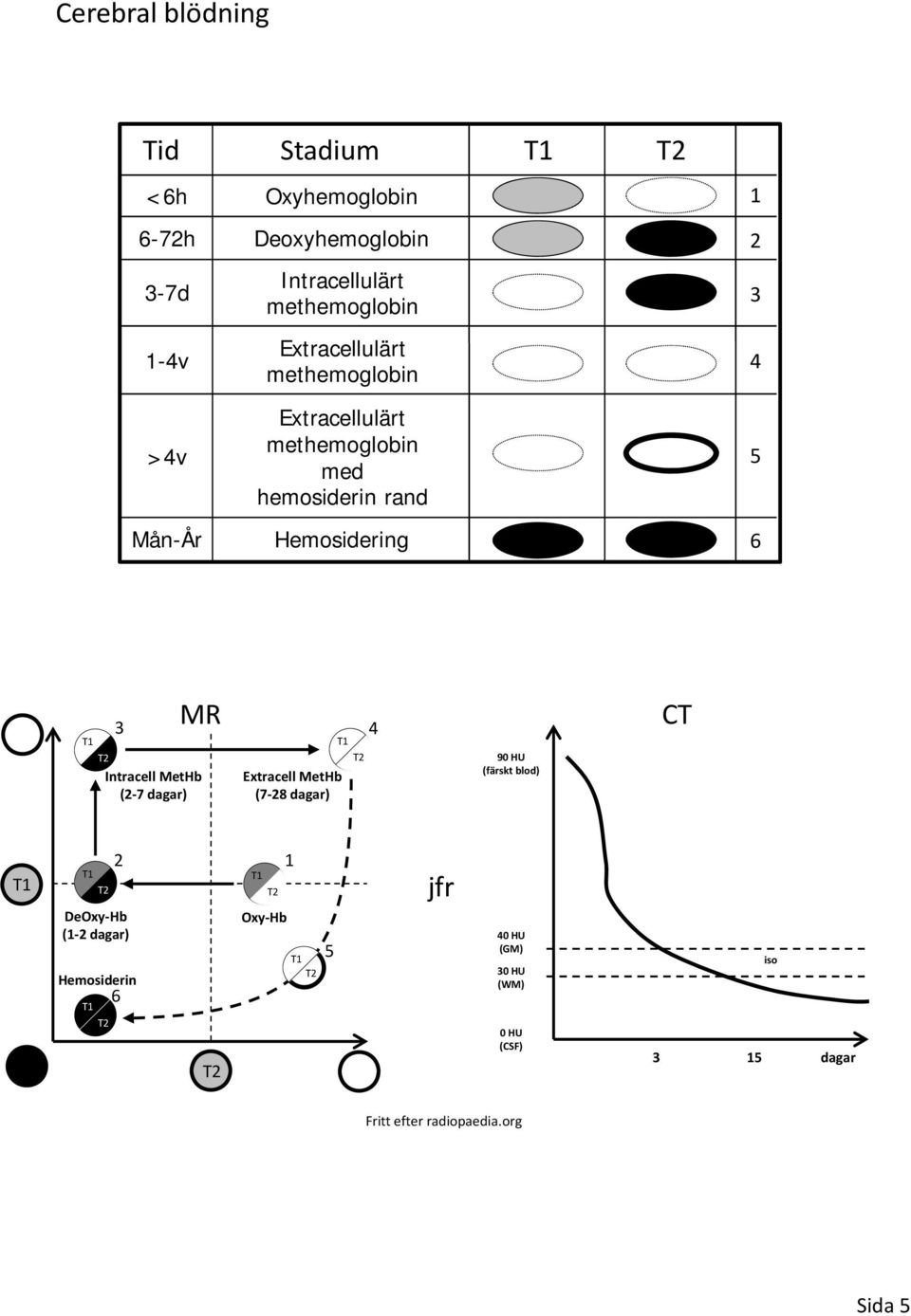 Intracell MetHb (2 7 dagar) T1 T2 Extracell MetHb (7 28 dagar) 90 HU (färskt blod) CT T1 T1 T2 DeOxy Hb (1 2 dagar)