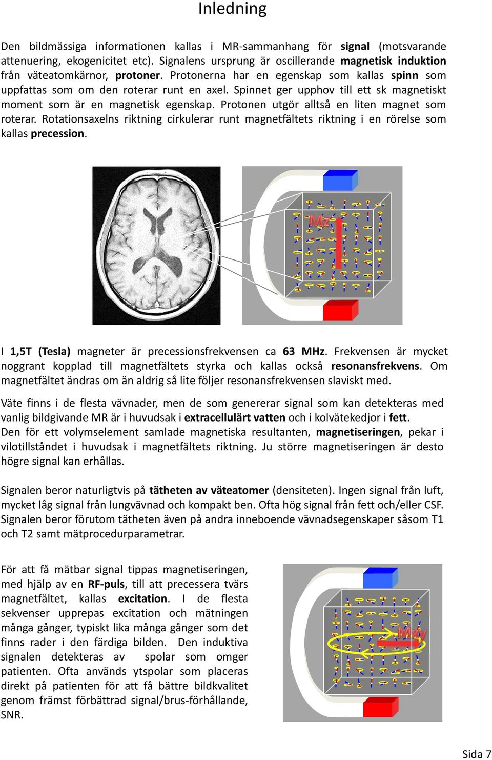 Spinnet ger upphov till ett sk magnetiskt moment som är en magnetisk egenskap. Protonen utgör alltså en liten magnet som roterar.