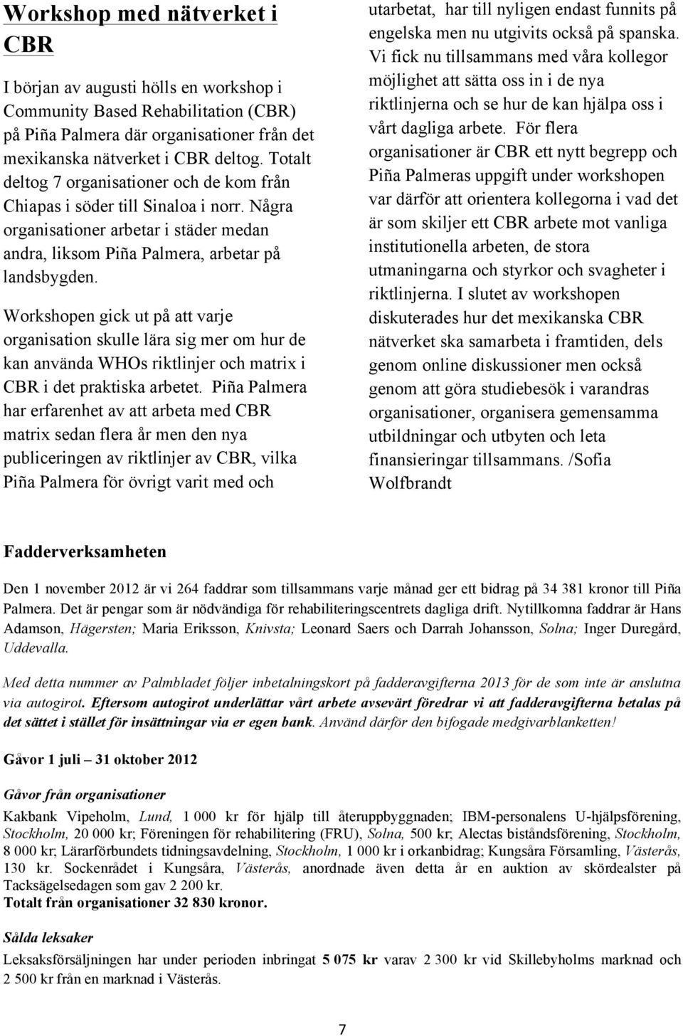 Workshopen gick ut på att varje organisation skulle lära sig mer om hur de kan använda WHOs riktlinjer och matrix i CBR i det praktiska arbetet.