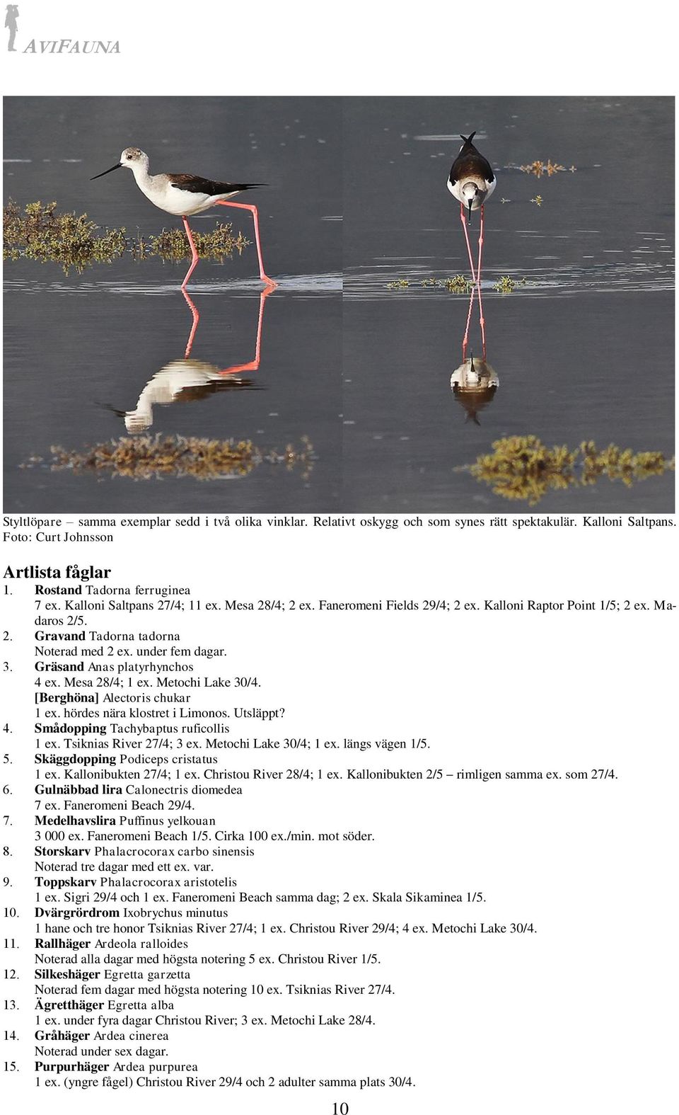 Mesa 28/4; 1 ex. Metochi Lake 30/4. [Berghöna] Alectoris chukar 1 ex. hördes nära klostret i Limonos. Utsläppt? 4. Smådopping Tachybaptus ruficollis 1 ex. Tsiknias River 27/4; 3 ex.