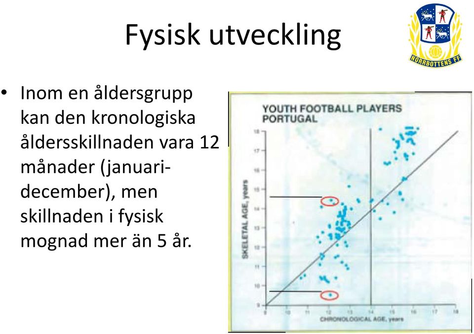 vara 12 månader (januari- december),