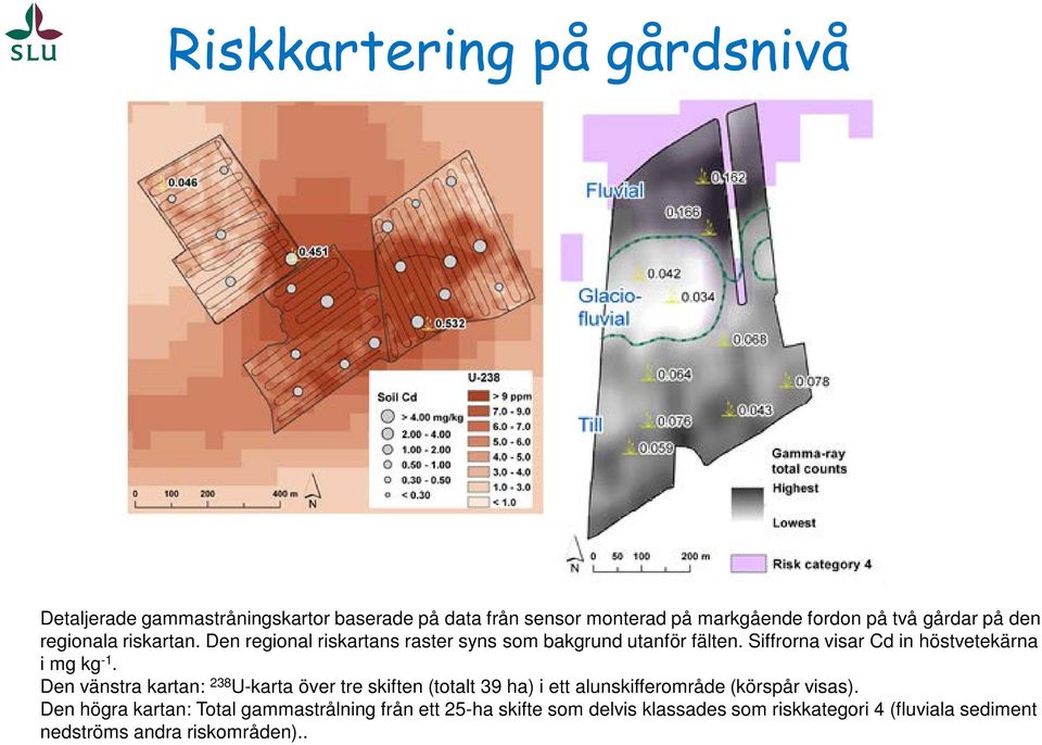 Siffrorna visar Cd in höstvetekärna i mg kg -1.