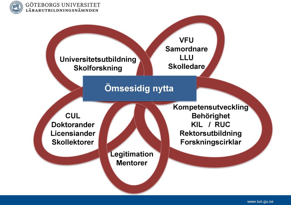 Skollektorer Legitimation Mentorer Kompetensutveckling