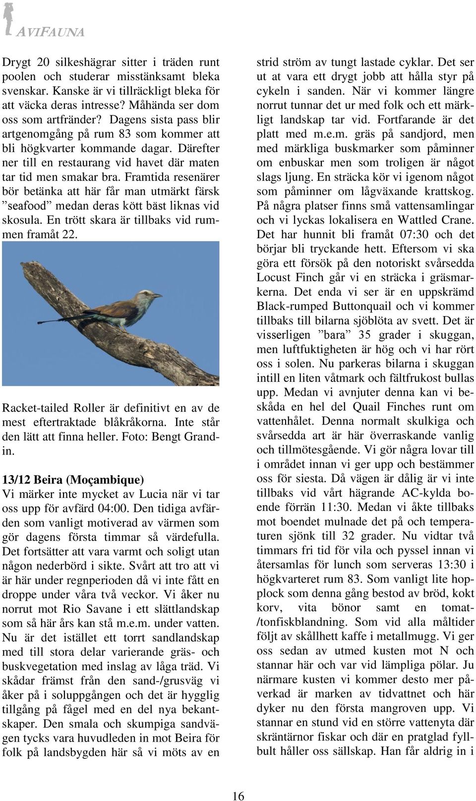 Framtida resenärer bör betänka att här får man utmärkt färsk seafood medan deras kött bäst liknas vid skosula. En trött skara är tillbaks vid rummen framåt 22.