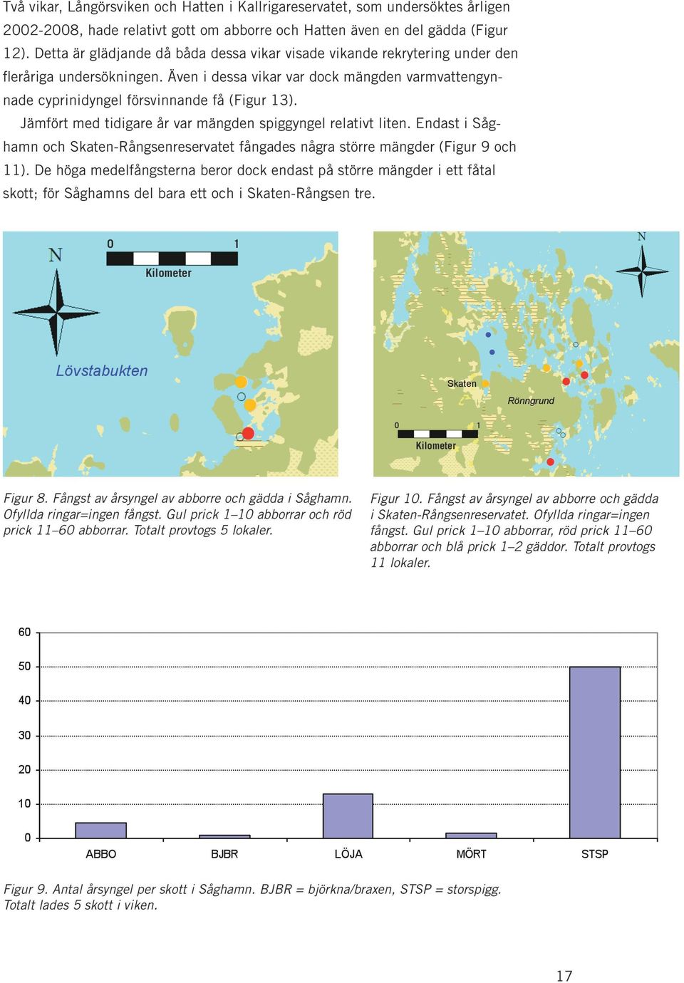 Jämfört med tidigare år var mängden spiggyngel relativt liten. Endast i Såghamn och Skaten-Rångsenreservatet fångades några större mängder (Figur 9 och 11).