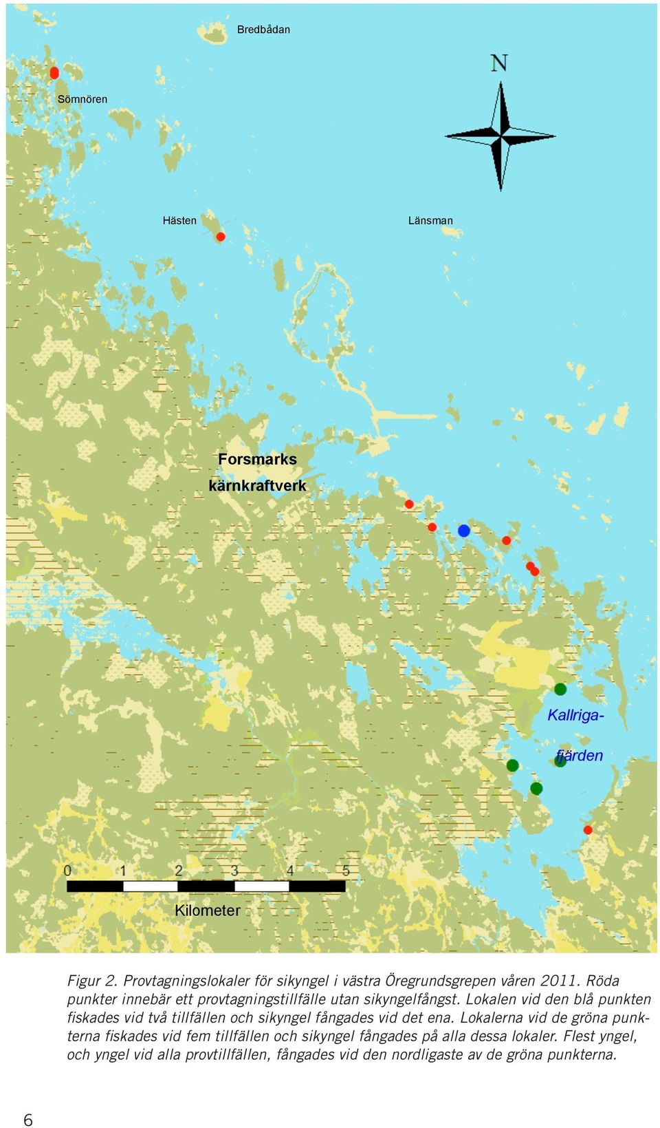 Röda punkter innebär ett provtagningstillfälle utan sikyngelfångst.