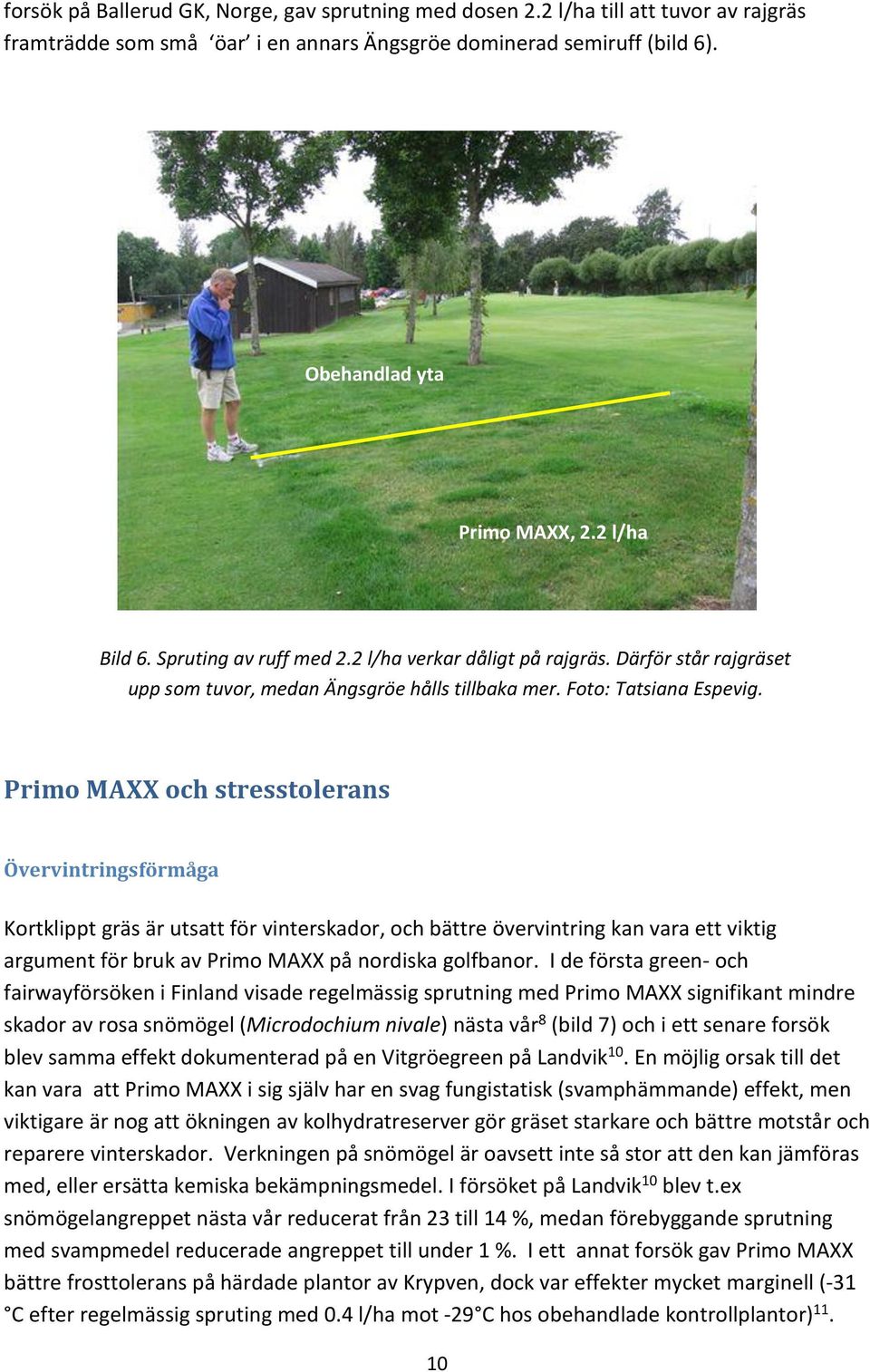 Primo MAXX och stresstolerans Övervintringsförmåga Kortklippt gräs är utsatt för vinterskador, och bättre övervintring kan vara ett viktig argument för bruk av Primo MAXX på nordiska golfbanor.