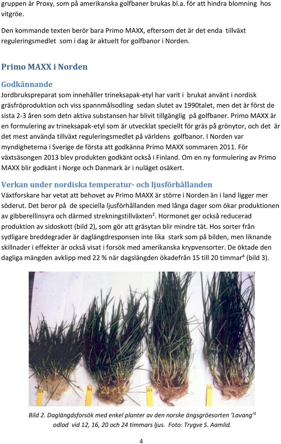 Primo MAXX i Norden Godkännande Jordbrukspreparat som innehåller trineksapak-etyl har varit i brukat använt i nordisk gräsfröproduktion och viss spannmålsodling sedan slutet av 1990talet, men det är