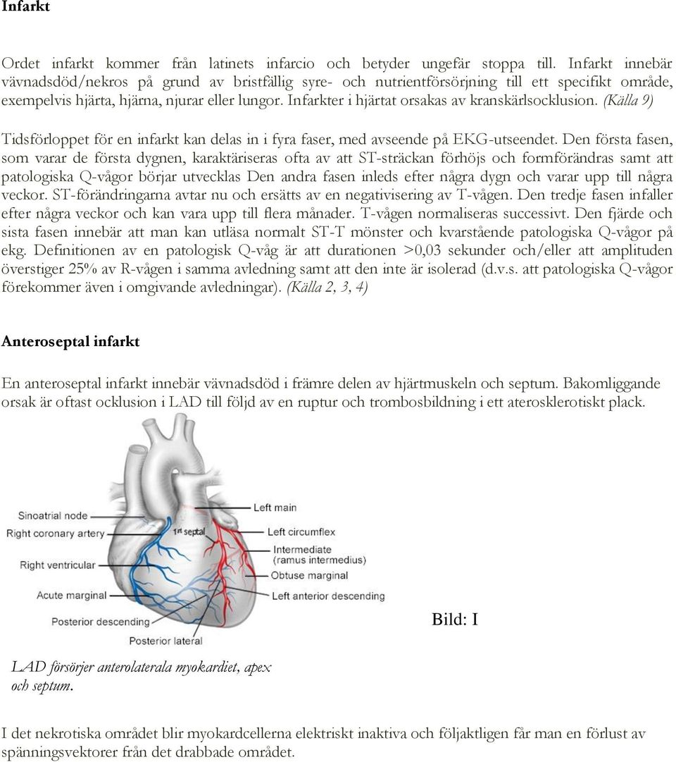 Infarkter i hjärtat orsakas av kranskärlsocklusion. (Källa 9) Tidsförloppet för en infarkt kan delas in i fyra faser, med avseende på EKG-utseendet.