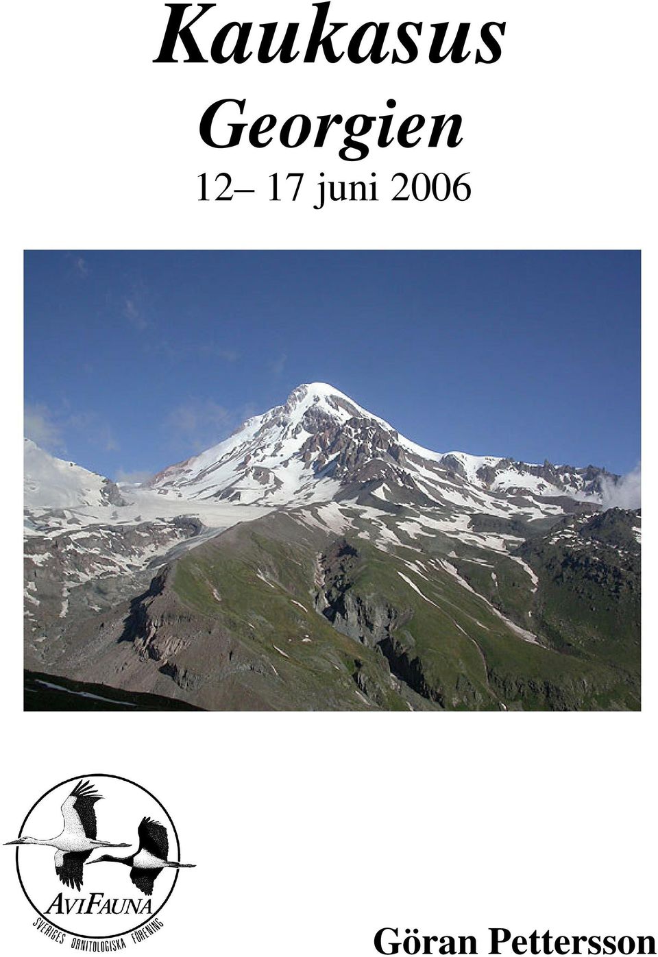 17 juni 2006