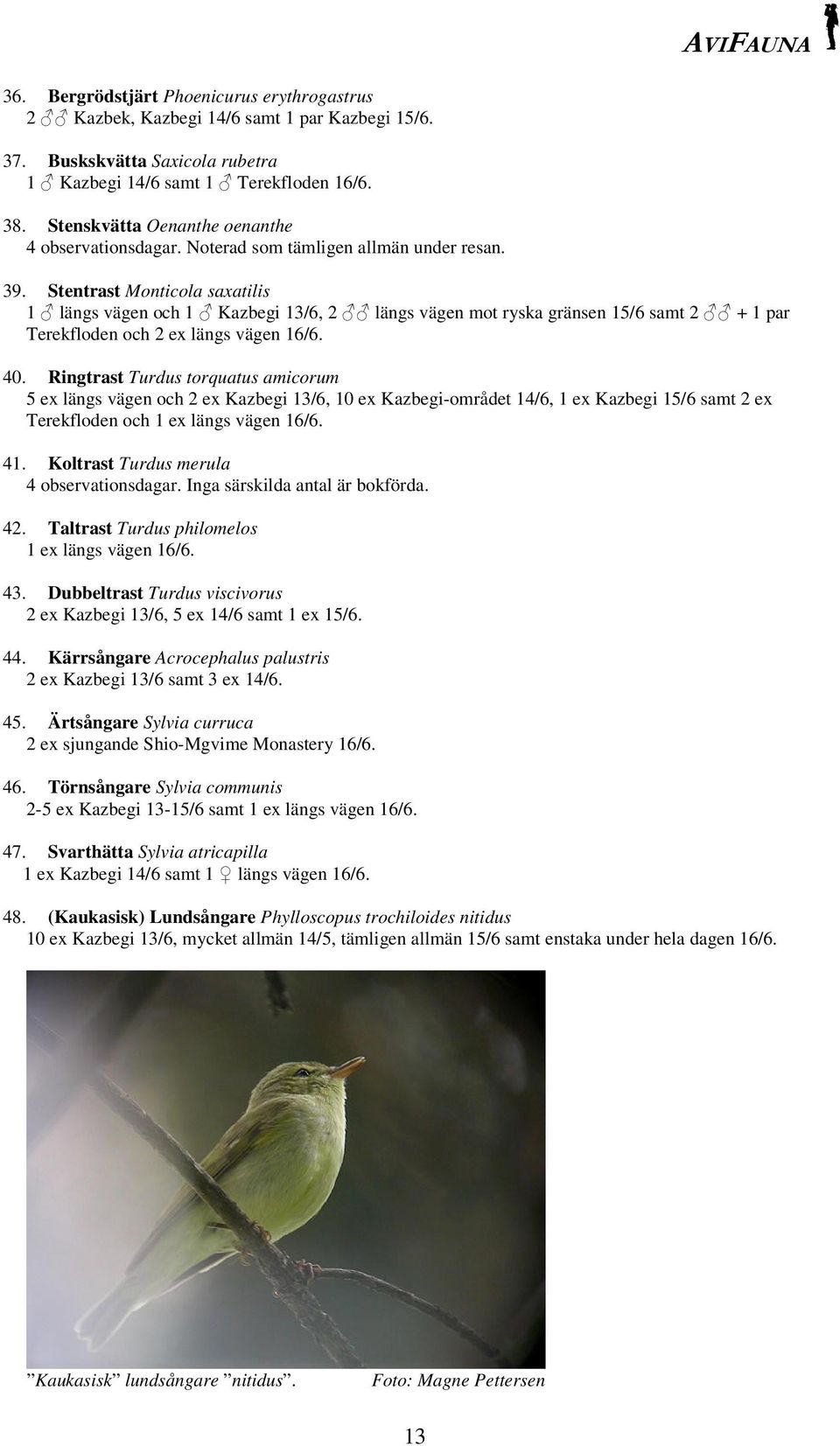 Stentrast Monticola saxatilis 1 längs vägen och 1 Kazbegi 13/6, 2 längs vägen mot ryska gränsen 15/6 samt 2 + 1 par Terekfloden och 2 ex längs vägen 16/6. 40.