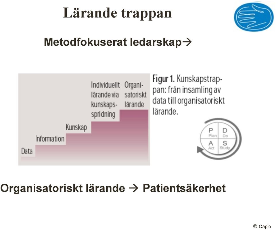 ledarskap!