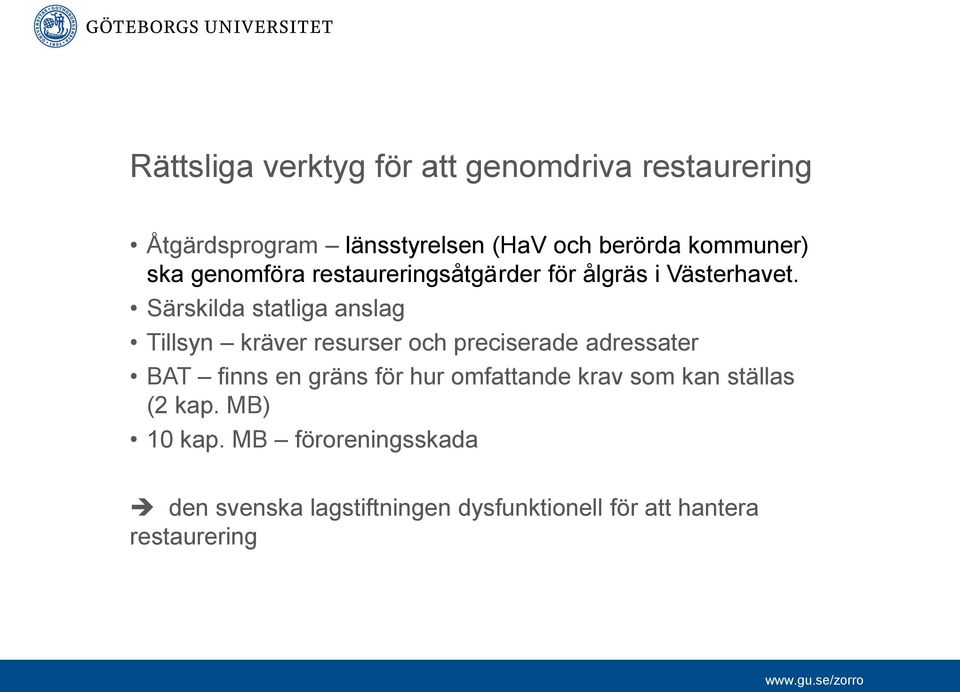 Särskilda statliga anslag Tillsyn kräver resurser och preciserade adressater BAT finns en gräns för hur