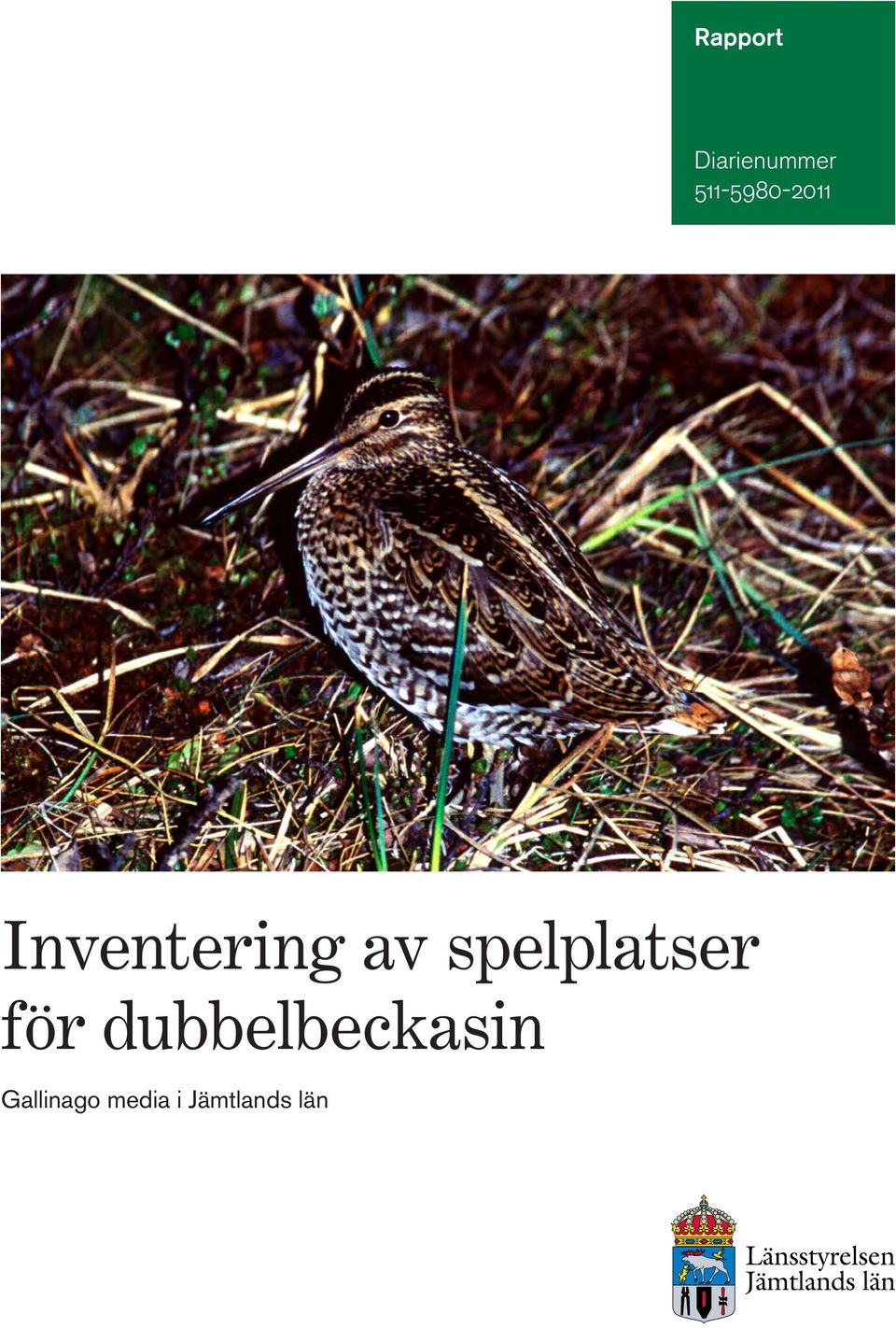 av spelplatser för