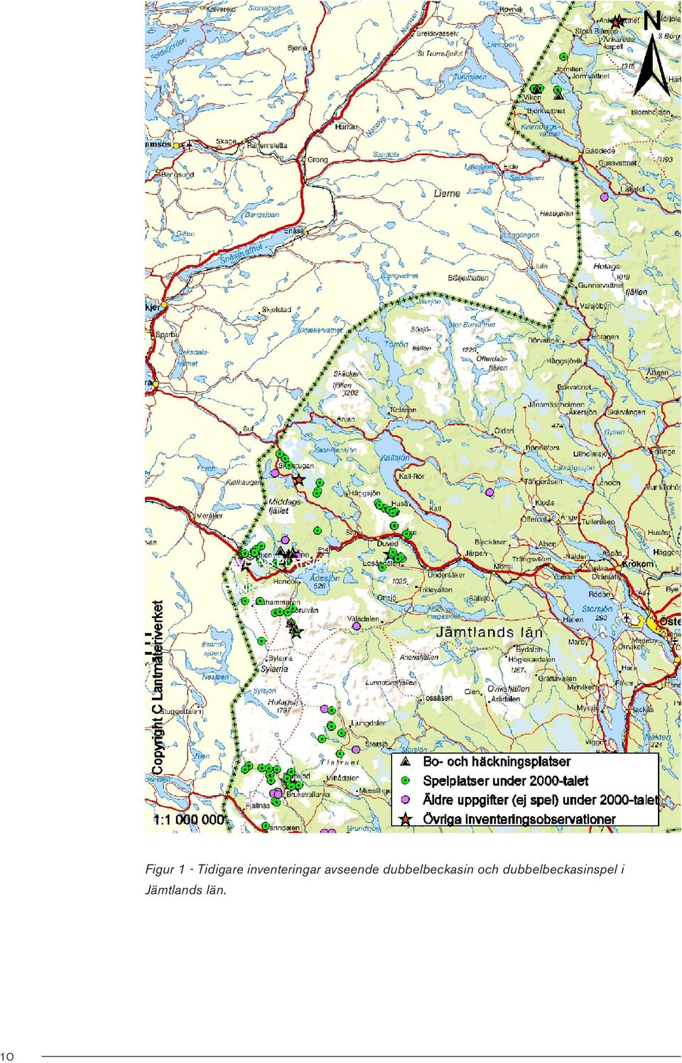 dubbelbeckasin och