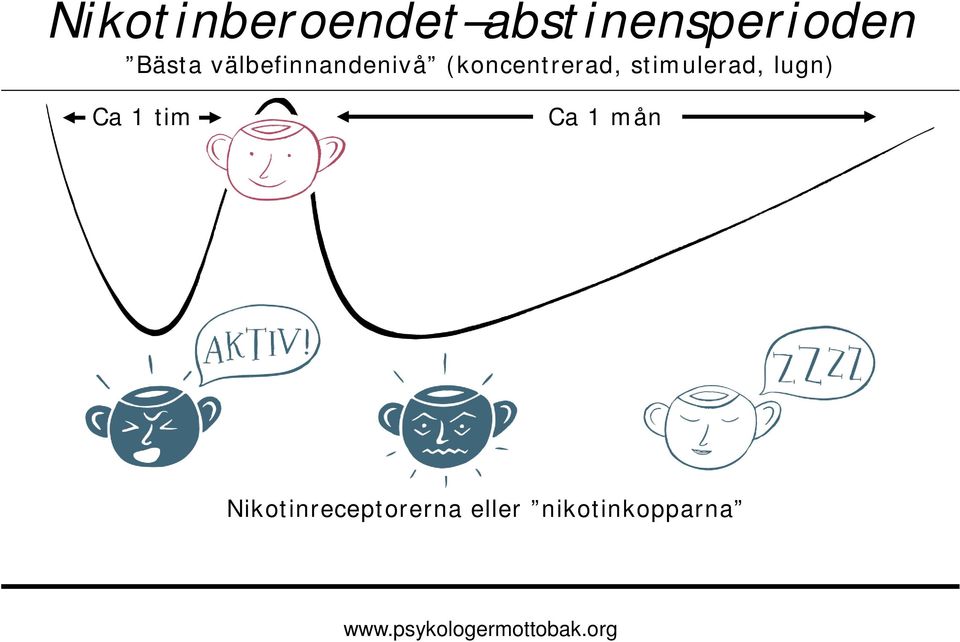 (koncentrerad, stimulerad, lugn) Ca 1