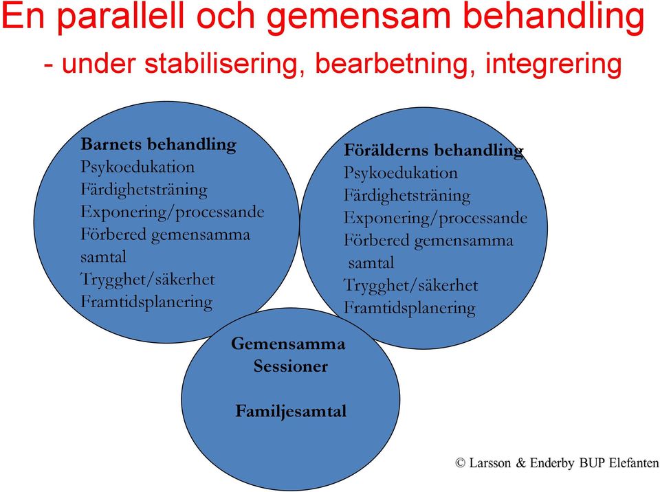 Trygghet/säkerhet Framtidsplanering Förälderns  Trygghet/säkerhet Framtidsplanering Gemensamma