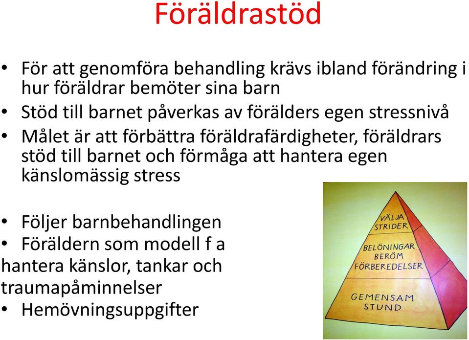 föräldrafärdigheter, föräldrars stöd till barnet och förmåga att hantera egen känslomässig stress