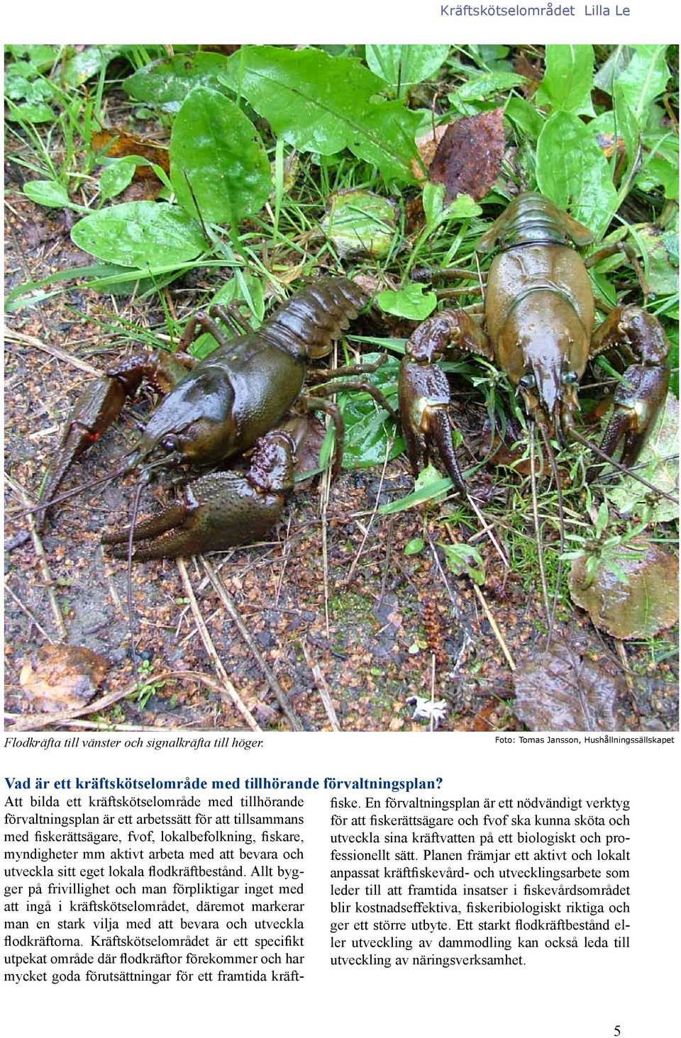 fiskare, utveckla sina kräftvatten på ett biologiskt och professionellt sätt.