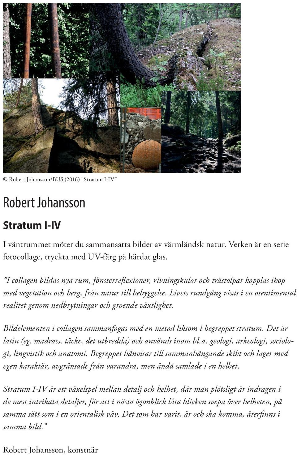 Livets rundgång visas i en osentimental realitet genom nedbrytningar och groende växtlighet. Bildelementen i collagen sammanfogas med en metod liksom i begreppet stratum. Det är latin (eg.