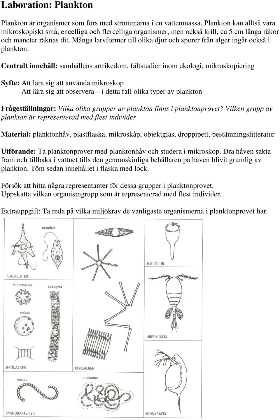 Många larvformer till olika djur och sporer från alger ingår också i plankton.