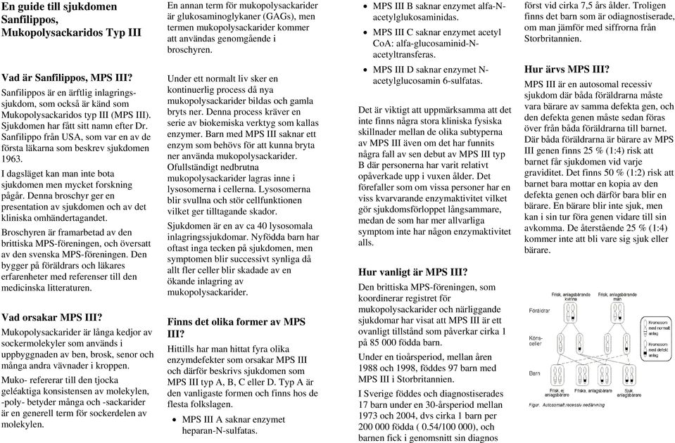 först vid cirka 7,5 års ålder. Troligen finns det barn som är odiagnostiserade, om man jämför med siffrorna från Storbritannien. Vad är Sanfilippos, MPS III?