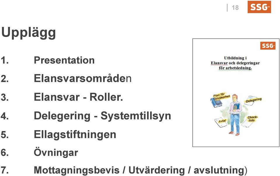 Delegering - Systemtillsyn 5.