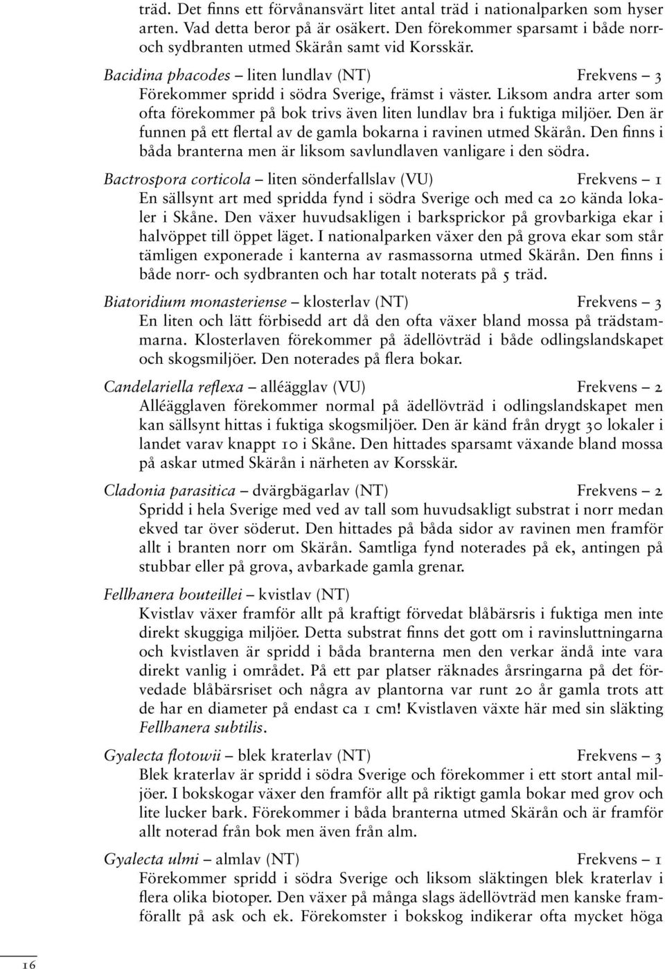 Den är funnen på ett flertal av de gamla bokarna i ravinen utmed Skärån. Den finns i båda branterna men är liksom savlundlaven vanligare i den södra.