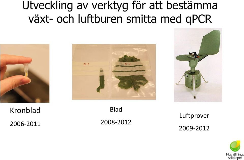 smitta med qpcr Kronblad