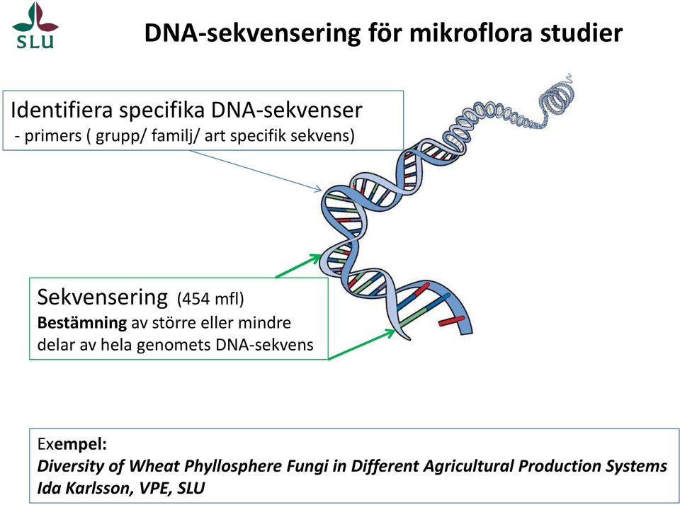 av större eller mindre delar av hela genomets DNA-sekvens Exempel: Diversity of