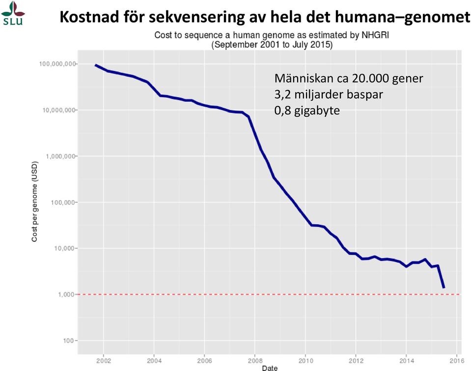 Människan ca 20.