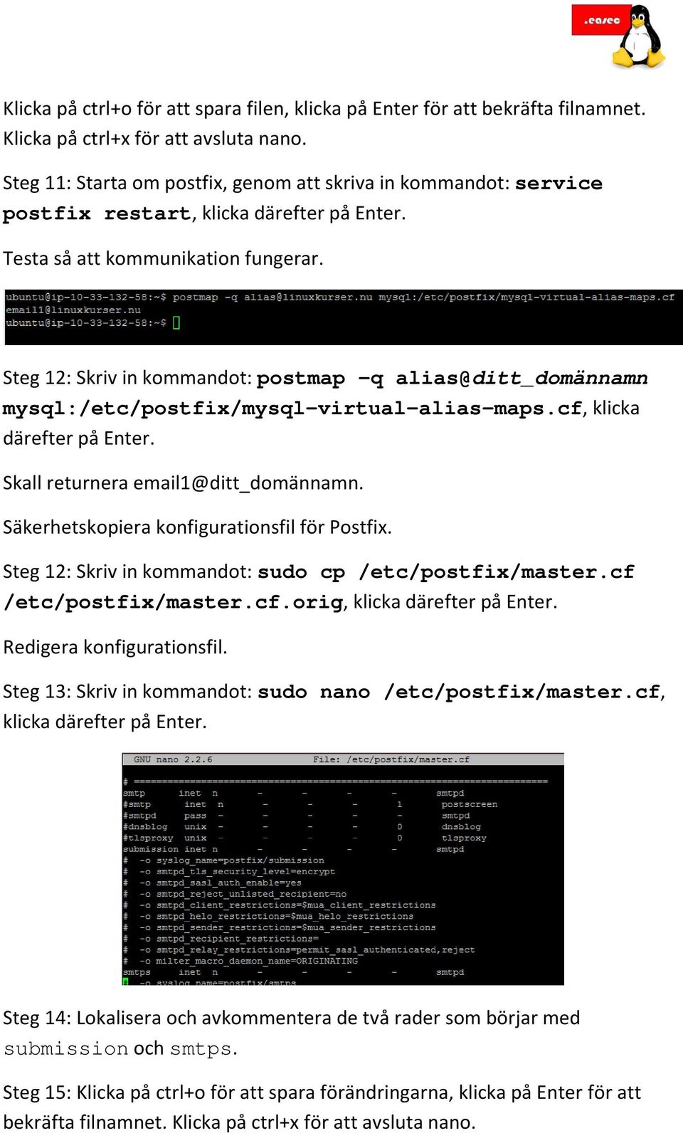 Steg 12: Skriv in kommandot: postmap q alias@ditt_domännamn mysql:/etc/postfix/mysql-virtual-alias-maps.cf, klicka därefter på Enter. Skall returnera email1@ditt_domännamn.