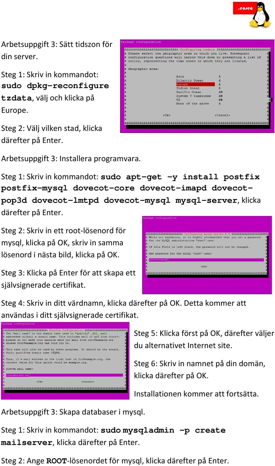 Steg 1: Skriv in kommandot: sudo apt-get y install postfix postfix-mysql dovecot-core dovecot-imapd dovecotpop3d dovecot-lmtpd dovecot-mysql mysql-server, klicka därefter på Enter.