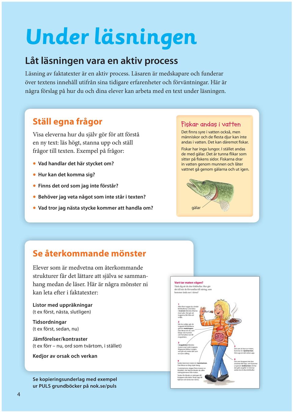 Ställ egna frågor Visa eleverna hur du själv gör för att förstå en ny text: läs högt, stanna upp och ställ Du kan inte se luft. Den luktar inte, den smakar frågor till texten.