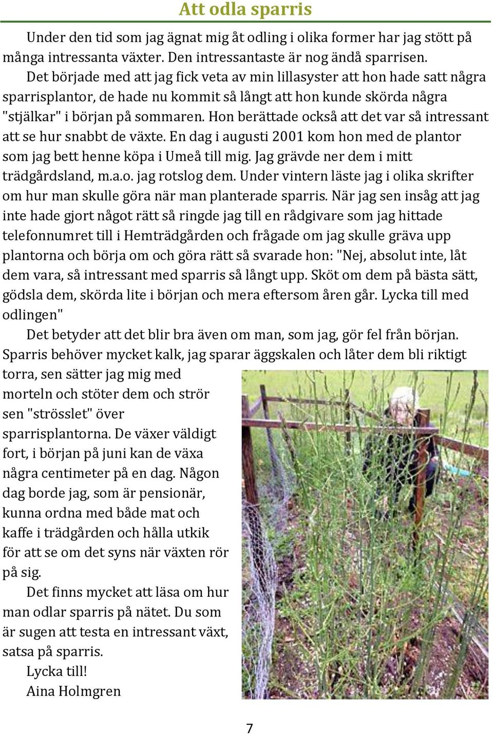 Hon berättade också att det var så intressant att se hur snabbt de växte. En dag i augusti 2001 kom hon med de plantor som jag bett henne köpa i Umeå till mig.