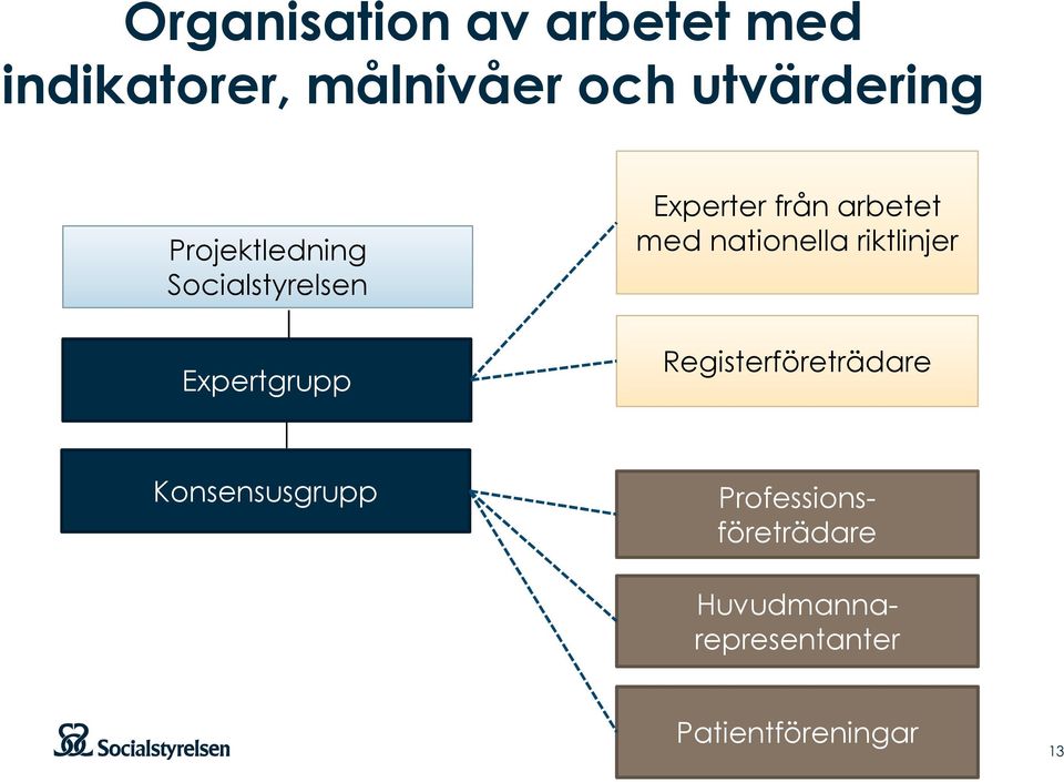 från arbetet med nationella riktlinjer Registerföreträdare