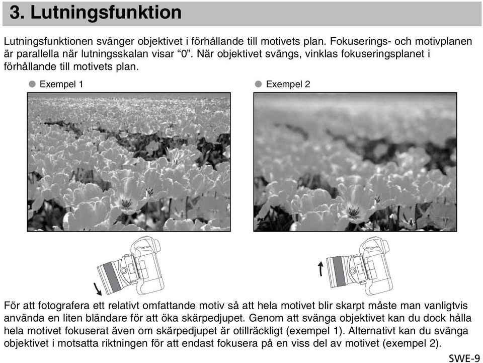 Exempel 1 Exempel 2 För att fotografera ett relativt omfattande motiv så att hela motivet blir skarpt måste man vanligtvis använda en liten bländare för att öka