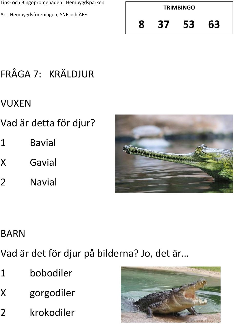 1 Bavial Gavial 2 Navial Vad är det för